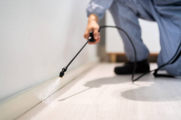 Licensed Termite Control service in Leslie, MI - Nex Pest Control