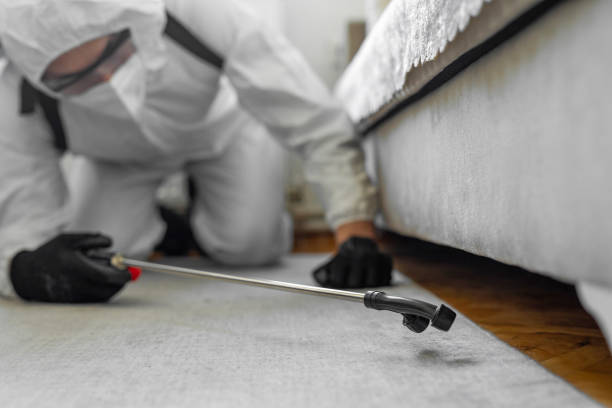 Professional Termite Control technician working in Leslie, MI