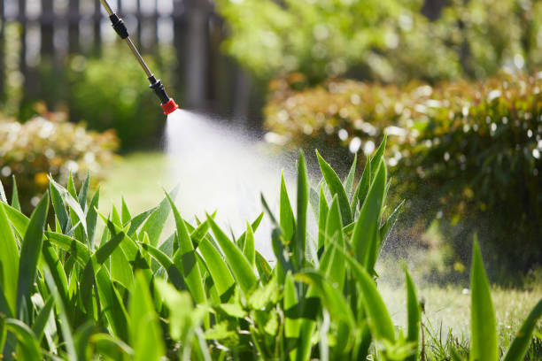 24/7 Emergency Termite Control experts in Leslie, MI