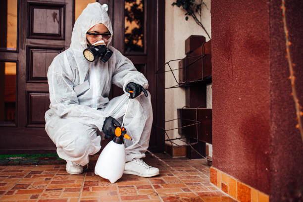 Reliable Termite Control contractor in Leslie, MI by Nex Pest Control