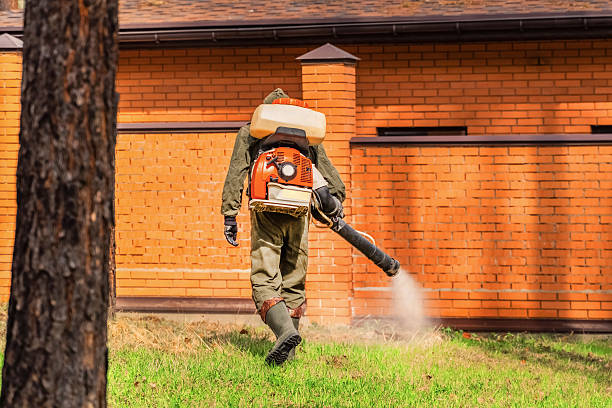 Top rated local Termite Control specialists in Leslie, MI
